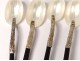 6 caviar spoons carved horn mother of pearl silver metal spoons 19th century