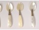 6 caviar spoons carved horn mother of pearl silver metal spoons 19th century