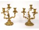 Pair candelabra 3 lights Louis XV rococo gilt bronze candlesticks nineteenth