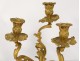 Pair candelabra 3 lights Louis XV rococo gilt bronze candlesticks nineteenth