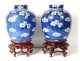 Pair pots ginger Chinese porcelain prunus Kangxi Yongzheng eighteenth