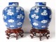 Pair pots ginger Chinese porcelain prunus Kangxi Yongzheng eighteenth