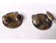 Pair of neck buttons livery old silver metal letter L collection XIX