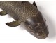 Sculpture bronze carp fish Japan animal nineteenth century