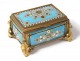 Small box box enamels Bressans pearls bronze flowers Napoleon III nineteenth