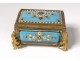 Small box box enamels Bressans pearls bronze flowers Napoleon III nineteenth