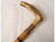 Cane horse dealer maquignon horse bamboo knob carved horn nineteenth