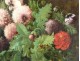 Great HST painting Eugene Forest still life bouquet flowers painting nineteenth