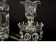 Pair candelabra candlesticks 4 lights crystal pendants Baccarat Medallion XXth