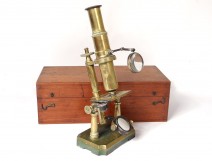 Antique microscope Radiguet &amp; Opticians son Paris optical brass cabinet 19th