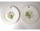 Table service 23 porcelain plates Sèvres flowers Napoleon III XIXth