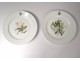 Table service 23 porcelain plates Sèvres flowers Napoleon III XIXth