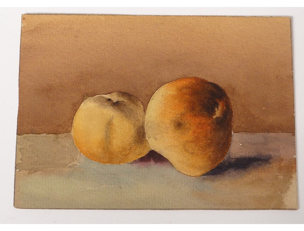 3 Dessins Aquarelles Nature Morte Fruits Peches Jarre Alger Xxeme Siecle