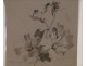 Drawing Study Charcoal Flowers 19th