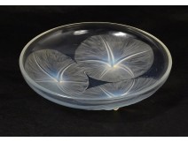 Opalescent glass bowl René Lalique France Volubilis model 20th century