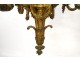 Chandelier 8 lights 2 lights gilded bronze foliage flowers late 19th century