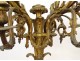 Chandelier 8 lights 2 lights gilded bronze foliage flowers late 19th century