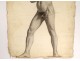 Naked man academy study pencil drawing signed Romieu XIXth century