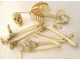 Skeleton human skull medicine flayed anatomy Vanity hands feet twentieth