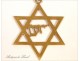 Star of David Pendant 18k Yellow Gold Jewish Israel Hebrew 20th