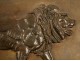 Bas-relief bronze lion Tipper 19th