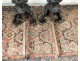 Pair of large bronze andirons fireplace Jupiter Juno Renaissance castle XIX