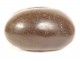 Coconut sea coconut seed Seychelles collection