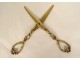 Silver vermeil grape scissors Minerva Maison Gavet vine 101.41gr 19th century