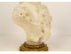 Cipriani alabaster bust sculpture young elegant woman Art Nouveau 19th century