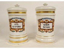 Pair of porcelain pharmacy jars Paris serpent Three Kingdoms Nature 19th century