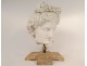 Plaster sculpture head god statue Apollo Belvedere Rome Italy 19th century