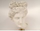 Plaster sculpture head god statue Apollo Belvedere Rome Italy 19th century