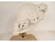 Plaster sculpture head god statue Apollo Belvedere Rome Italy 19th century