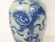 White blue porcelain baluster vase China Buddhist lions dogs Fô XIXth