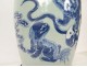 White blue porcelain baluster vase China Buddhist lions dogs Fô XIXth