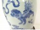 White blue porcelain baluster vase China Buddhist lions dogs Fô XIXth