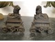 Pair of Cast iron andirons in the shape of lions and decorated with foliage, Napoleon III nineteenth