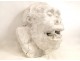 Plaster sculpture, Head of Gorilla style Fremiet, nineteenth