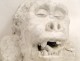 Plaster sculpture, Head of Gorilla style Fremiet, nineteenth