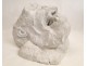 Plaster sculpture, Head of Gorilla style Fremiet, nineteenth