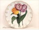 Earthenware plate Creil &amp; Montereau Flower NAPIII 19th