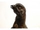 Bronze sculpture, or Hen Pheasant Partridge, signed J. Moigniez, nineteenth