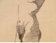 Naked Woman Drawings Study Model Laigneau Villeneuve Paul Dumas