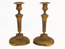 Pair of Louis XVI Candlesticks, gilt bronze, decorated with palmettes, eighteenth