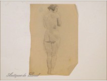 Naked Women Drawings Study Colarossi 20th