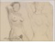 Naked Women Drawings Study Colarossi 20th