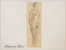 Naked Women Drawings Study Colarossi 20th