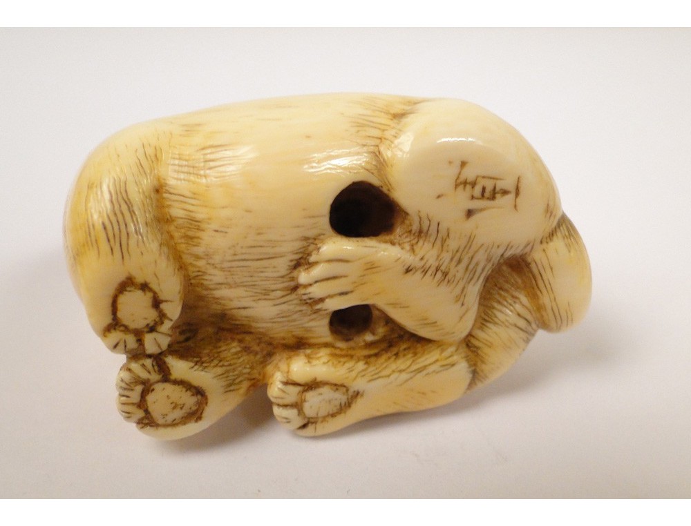 Carved ivory netsuke, small dog, sculpted by Masanao Suzuki, Shinsuke