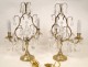 Pair of candlesticks with tassels, gilt bronze and crystal nineteenth