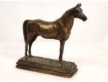 Bronze sculpture, horse thoroughbred stallion, A.Dubucand, XIXth